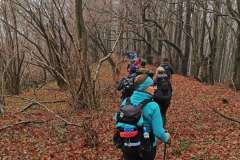 IMG_20251115_122648_wynik